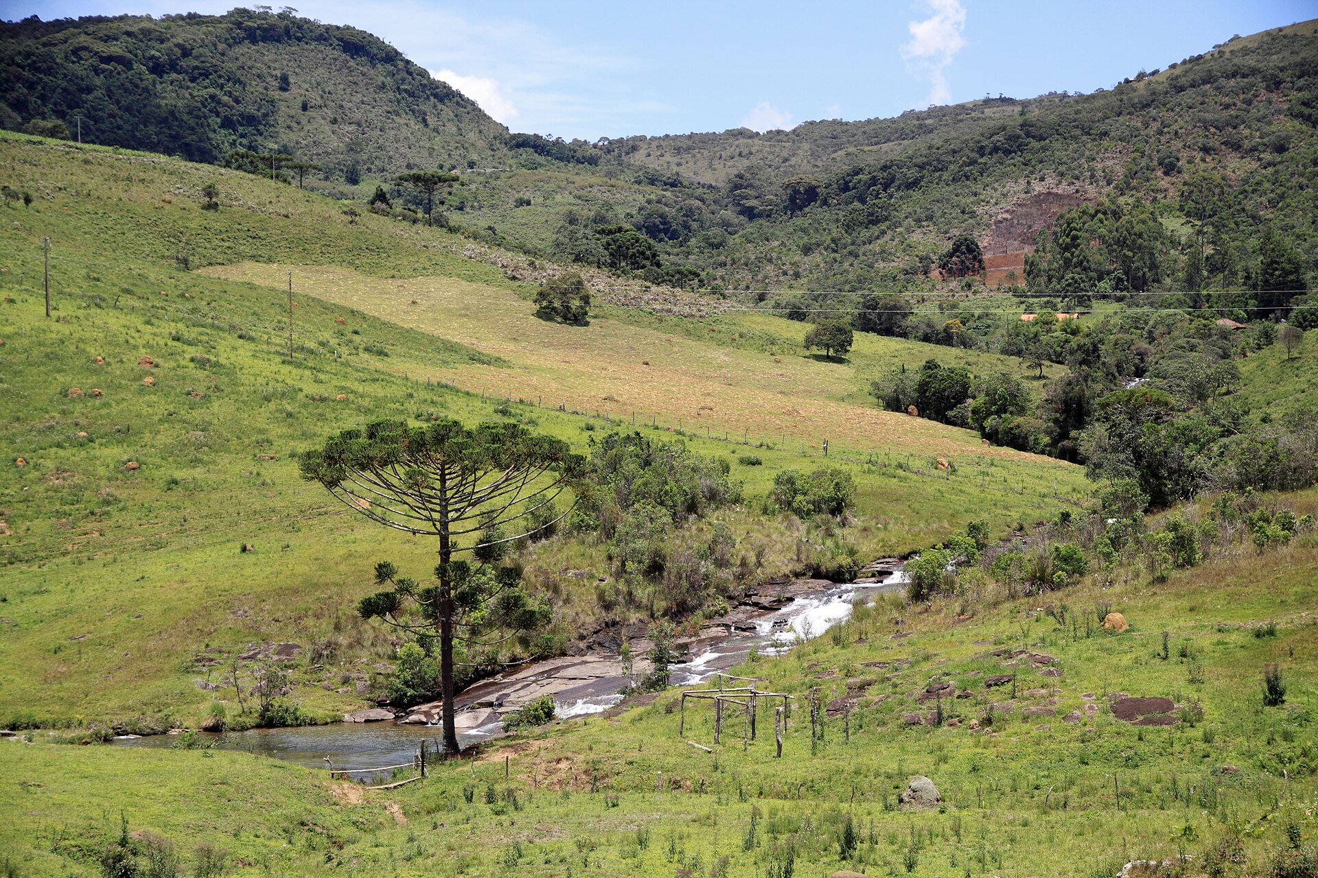 Travessia Baependi → Aiuruoca · Serra do Papagaio